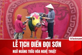 Trâu Việt Nam hóa tác phẩm nghệ thuật tại Lễ hội Tịch điền Ninh Bình 