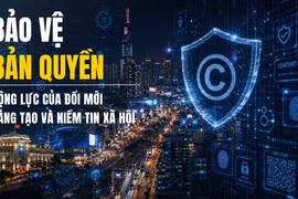 Bảo vệ bản quyền: Động lực của đổi mới sáng tạo và niềm tin xã hội ( Ảnh minh họa: Vietnam+)