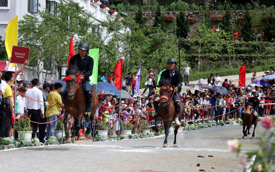 Các nài ngựa thi đấu trong ngày khai mạc. (Ảnh: Quốc Khánh/TTXVN)