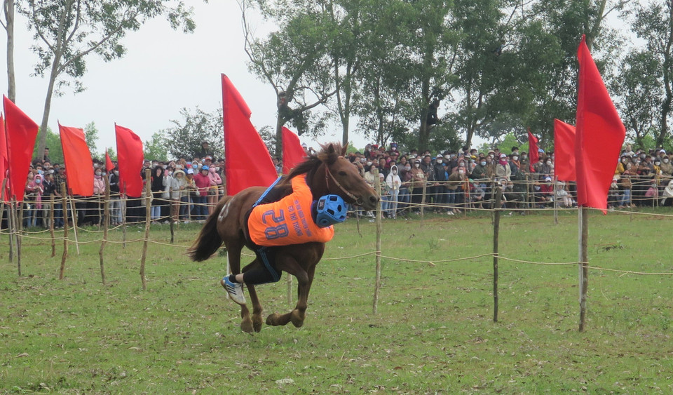 Một kỵ sỹ cố gắng bám trên lưng ngựa trên đường đua. (Ảnh: Tường Quân/TTXVN)