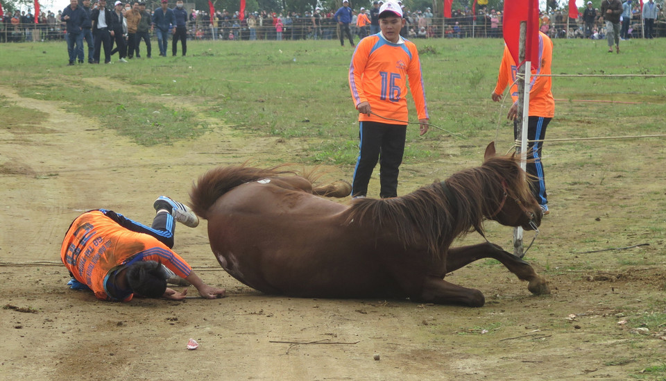 Sự cố ngã ngựa của một kỵ sỹ trên đường đua. (Ảnh: Tường Quân/TTXVN)