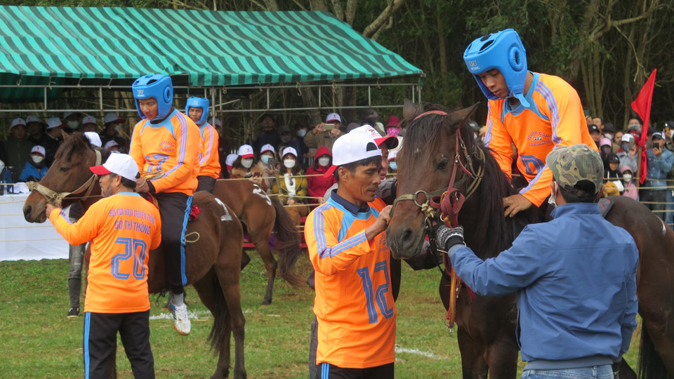 Ngựa đua chuẩn bị xuất phát. (Ảnh: Tường Quân/TTXVN)