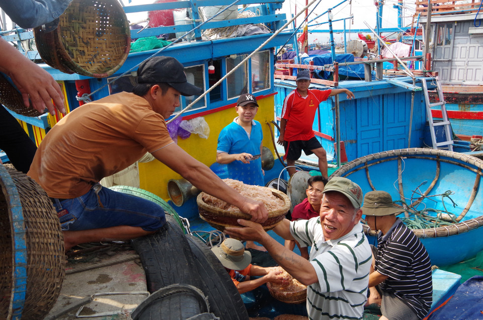 Ngư dân chuyển ruốc lên bờ.(Ảnh: Đinh Hương/TTXVN)