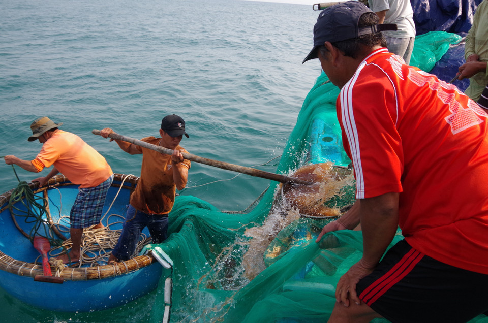 Ngư dân chuyển ruốc lên bờ. (Ảnh: Đinh Hương/TTXVN)