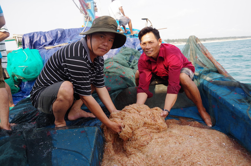 Tàu ngư dân trở về đầy ruốc. (Ảnh: Đinh Hương/TTXVN)