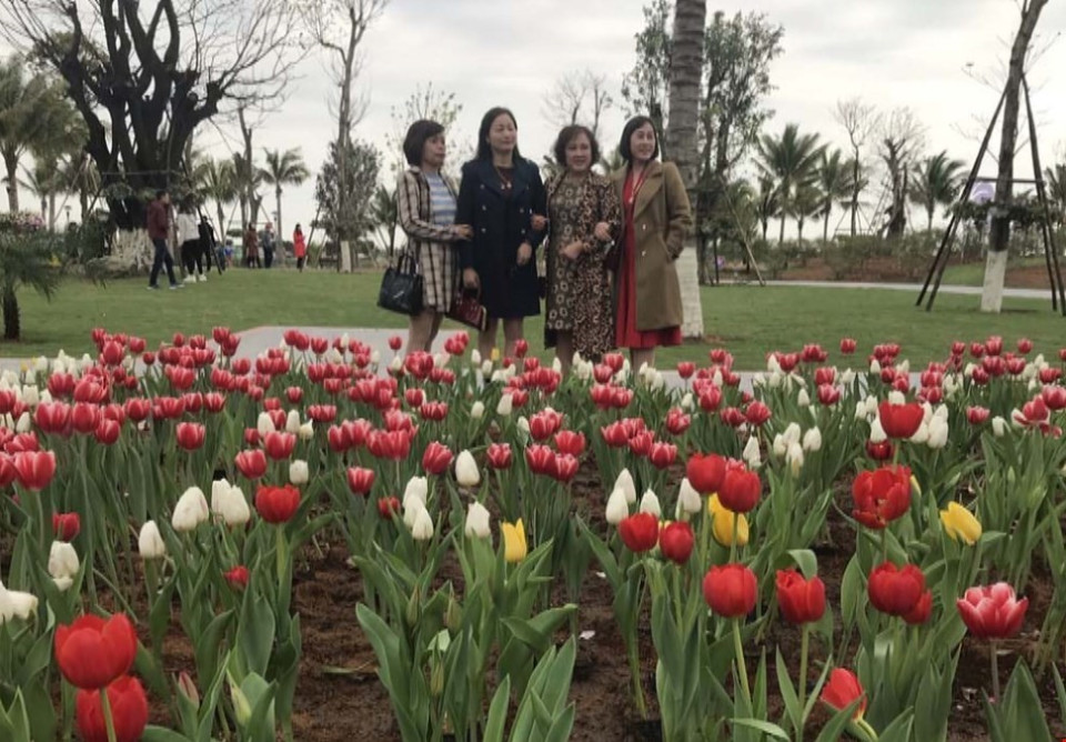 Người dân chụp ảnh bên vườn hoa tulip tại lễ hội. (Ảnh: Tiến Vĩnh/TTXVN)