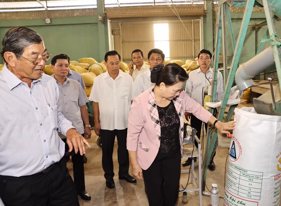 Chủ tịch Quốc hội Nguyễn Thị Kim Ngân tham quan quy trình sản xuất gạo ST25. (Ảnh: Trọng Đức/TTXVN)