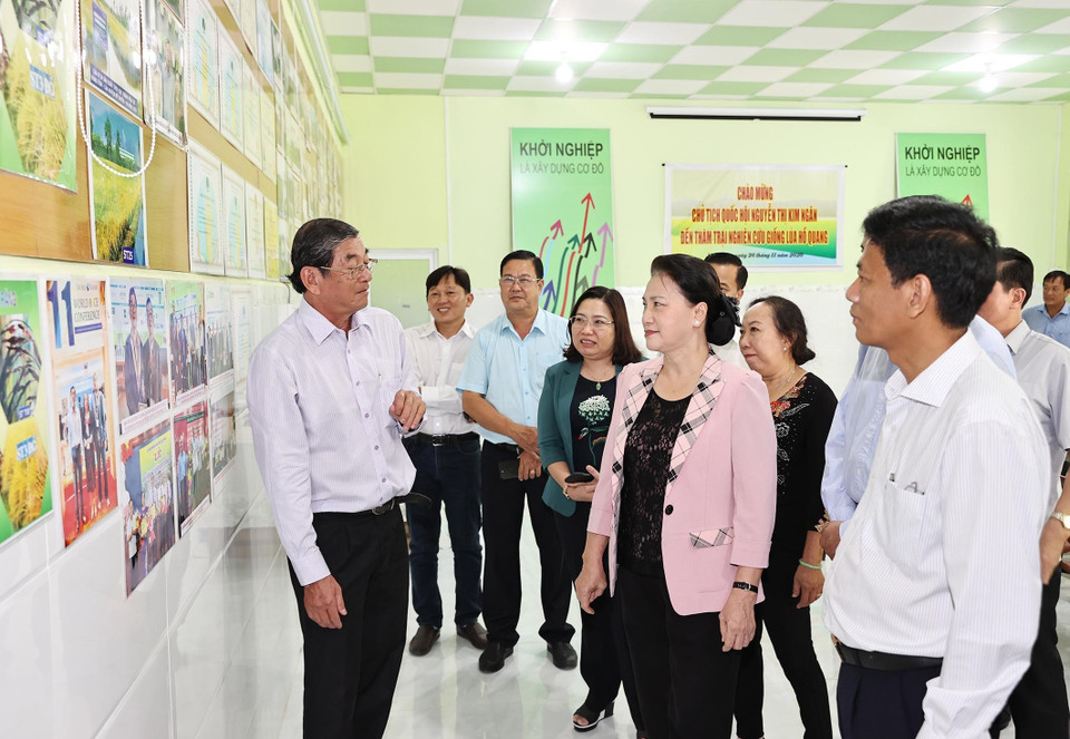 Chủ tịch Quốc hội Nguyễn Thị Kim Ngân thăm Trung tâm sản xuất giống lúa và gạo ST25. (Ảnh: Trọng Đức/TTXVN)