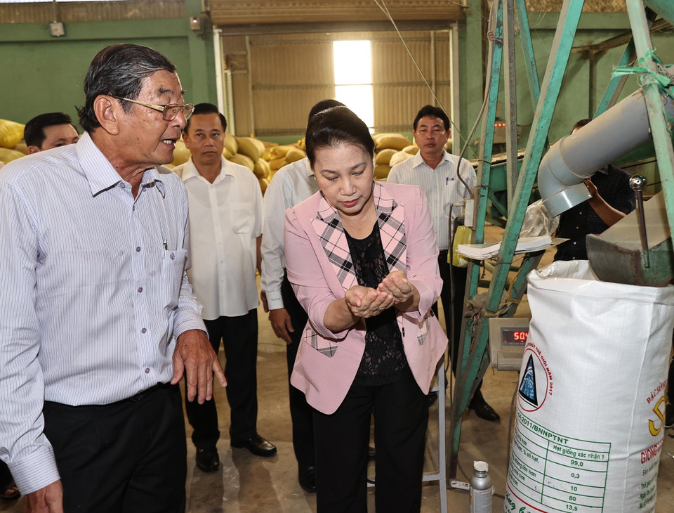 Chủ tịch Quốc hội Nguyễn Thị Kim Ngân tham quan quy trình sản xuất gạo ST25. (Ảnh: Trọng Đức/TTXVN)
