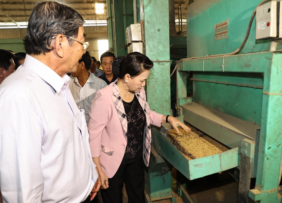 Chủ tịch Quốc hội Nguyễn Thị Kim Ngân thăm Trung tâm sản xuất giống lúa và gạo ST25. (Ảnh: Trọng Đức/TTXVN)