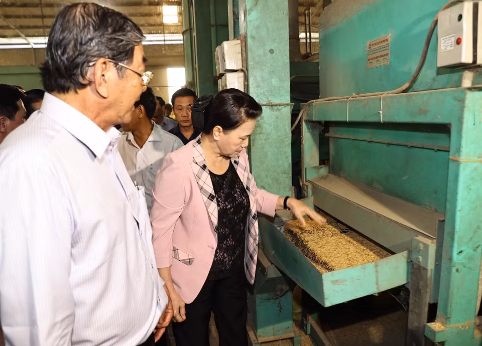 Chủ tịch Quốc hội Nguyễn Thị Kim Ngân thăm Trung tâm sản xuất giống lúa và gạo ST25. (Ảnh: Trọng Đức/TTXVN)