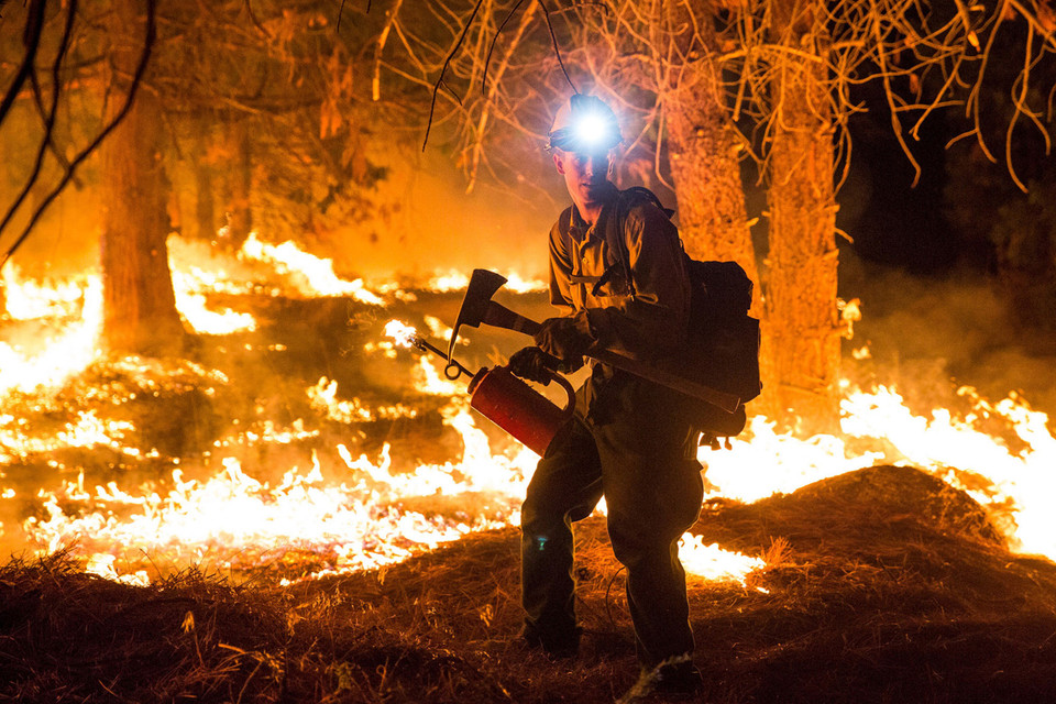 Một nhân viên cứu hóa đốt một khoảng rừng để tạo hành lang ngăn đám cháy lan rộng tại rừng quốc gia Sequoia, bang California. (Ảnh: Reuters)