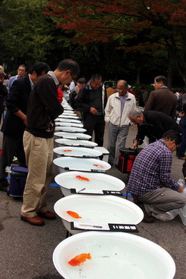 Đông đảo người dân đã đến thăm quan hội chợ. (Ảnh: Hữu Thắng/Vietnam+)