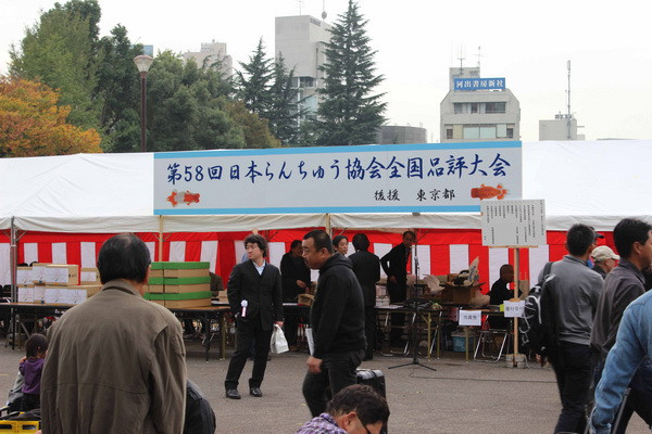 Quang cảnh hội chợ cá vàng Ranchu. (Ảnh: Hữu Thắng/Vietnam+)