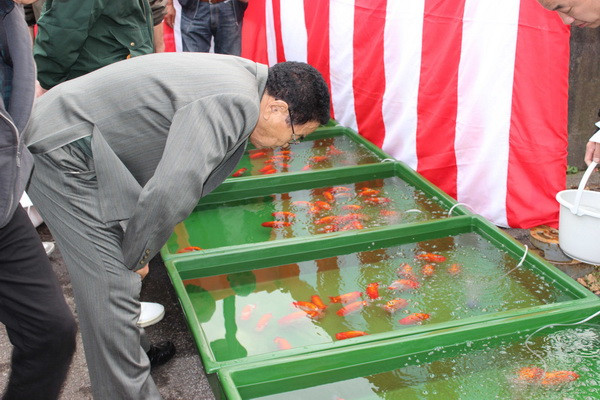 Khách tham quan hội chợ say sưa ngắm nhìn những chú cá vàng Ranchu. (Ảnh: Hữu Thắng/Vietnam+)