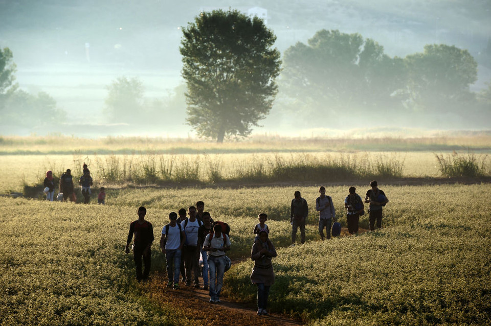 Những người nhập cư đi bộ qua cánh đồng để vượt qua biên giới Ai Cập và Macedonia. (Ảnh: AFP)