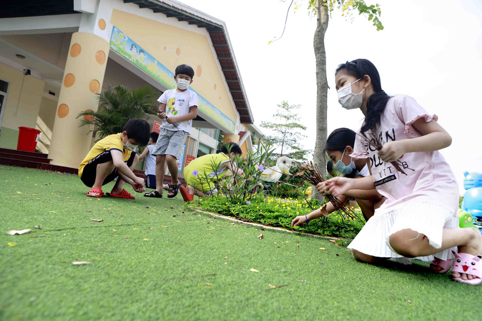Học sinh Trường tiểu học Lưu Quý An tham gia nhặt lá cây làm đẹp sân trường. (Ảnh: Hoàng Hùng/TTXVN)