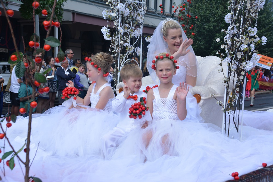 Lễ hội cherry độc đáo của Australia. (Ảnh: Võ Giang/Vietnam+)