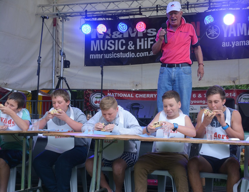 Nhiều hoạt động văn hóa đặc sắc được tổ chức trong lễ hội cherry. (Ảnh: Võ Giang/Vietnam+)