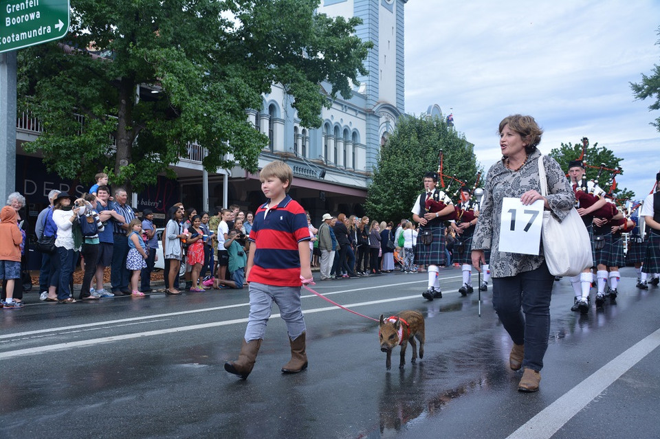 Lễ diễu hành của người dân thị trấn Young-thủ phủ trồng cherry của bang New South Wales. (Ảnh: Võ Giang/Vietnam+)