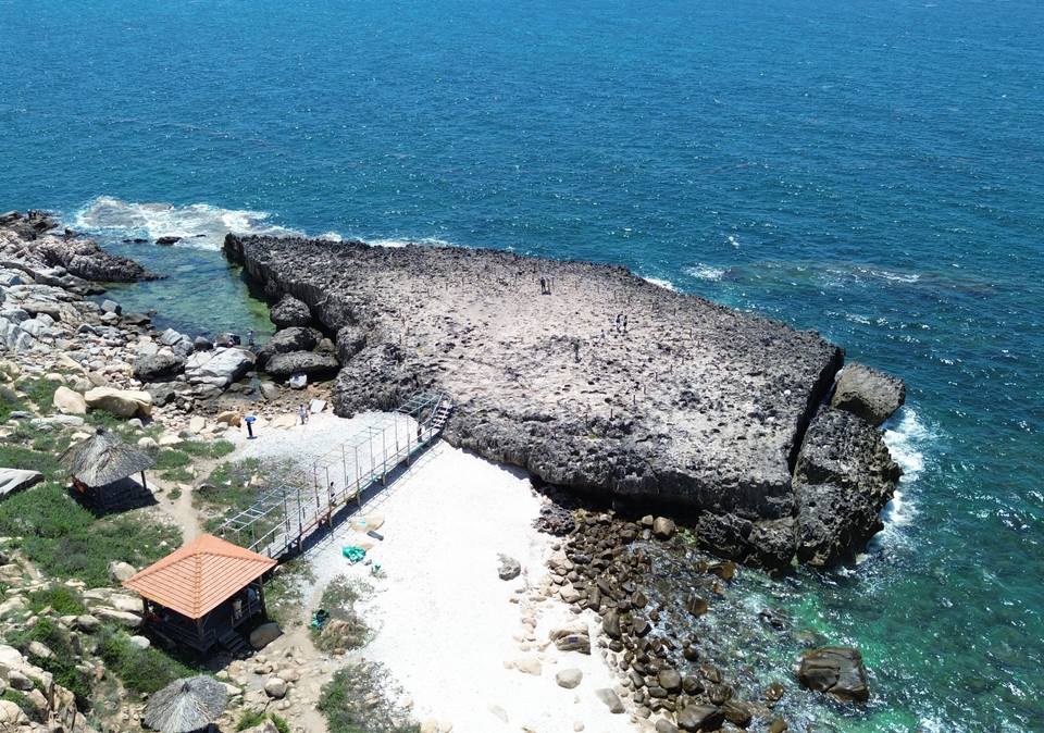 Bãi san hô cổ ở Hang Rái nằm trong Khu Dự trữ Sinh quyển Thế giới Núi Chúa. (Ảnh: Nguyễn Thành/TTXVN)