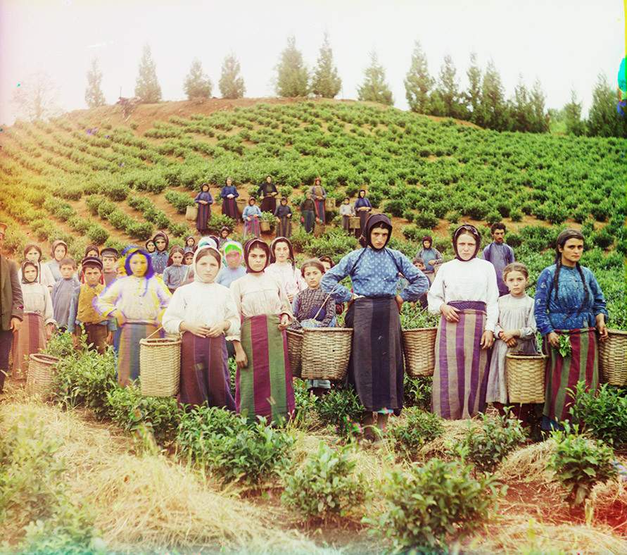 Các phụ nữ Hy Lạp làm việc tại một nông trại ở Chavka, miền Nam Bulgaria. (Nguồn: Thư viện Quốc hội Mỹ)