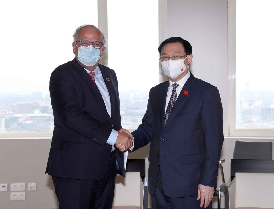 Chủ tịch Quốc hội Vương Đình Huệ tiếp lãnh đạo Tập đoàn Deme. (Ảnh: Doãn Tấn/TTXVN)