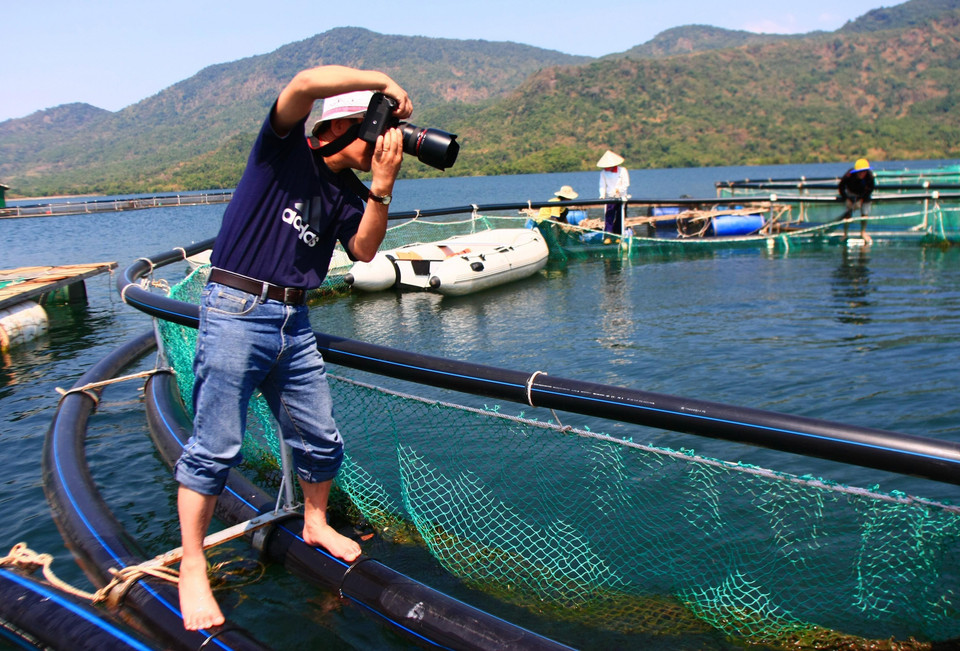 Phóng viên ảnh TTXVN ghi lại hình ảnh nuôi cá lồng bè trên biển. (Ảnh: TTXVN)