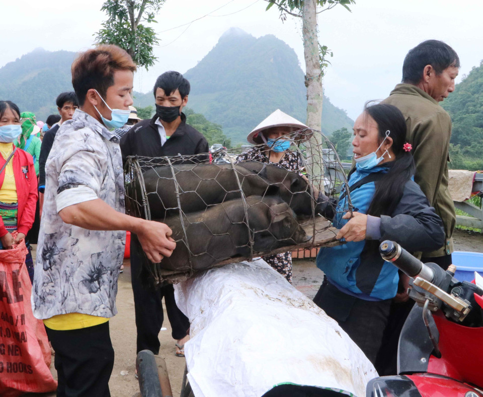 Người dân mua được đôi lợn cắp nách ưng ý. (Ảnh: Nguyễn Oanh/TTXVN)