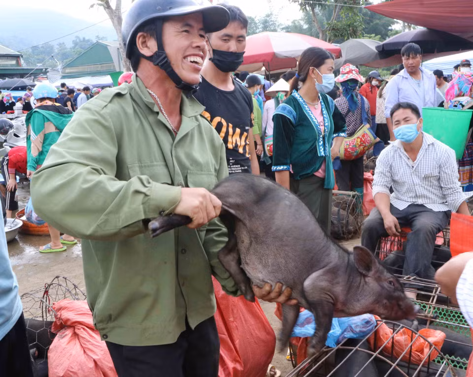 Người bán rất vui khi bán được lợn. (Ảnh: Nguyễn Oanh/TTXVN)
