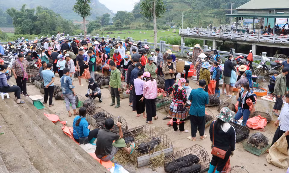 Khu vực chợ lợn San Thàng nhộn nhịp người bán, người mua. (Ảnh: Nguyễn Oanh/TTXVN)
