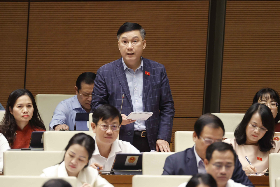 Đại biểu Quốc hội tỉnh Gia Lai Lê Hoàng Anh đặt câu hỏi chất vấn. (Ảnh: Doãn Tấn/TTXVN)