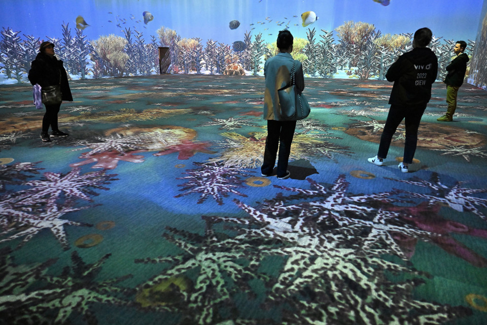 Lễ hội ánh sáng Vivid Sydney của Australia - một trong những sự kiện văn hóa du lịch lớn nhất trong năm và được nhiều người mong đợi nhất ở 'xứ sở Chuột túi.' (Ảnh: AFP/TTXVN)