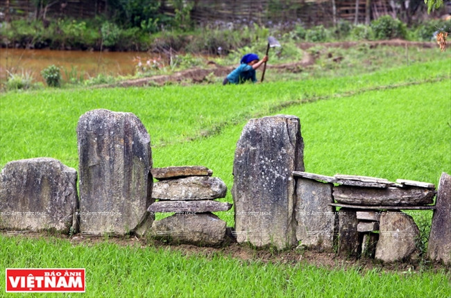 Bà con tộc người Hà Nhì ở bản Lao Chải 1 dùng phương pháp xếp đá để làm bờ phân chia diện tích các thửa ruộng bậc thang. (Ảnh: Thông Thiện)