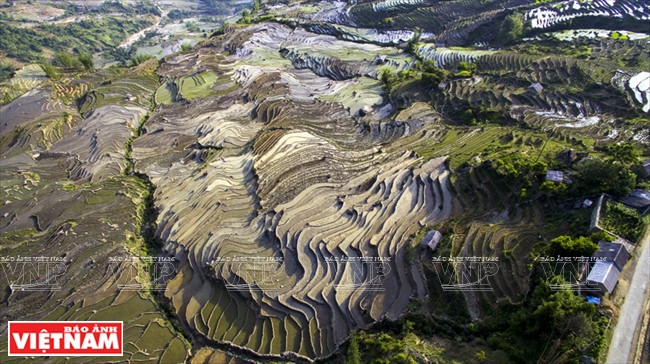 Những lớp ruộng bậc thang Y Tý vào mùa nước đổ. (Ảnh: Hoàng Hà)