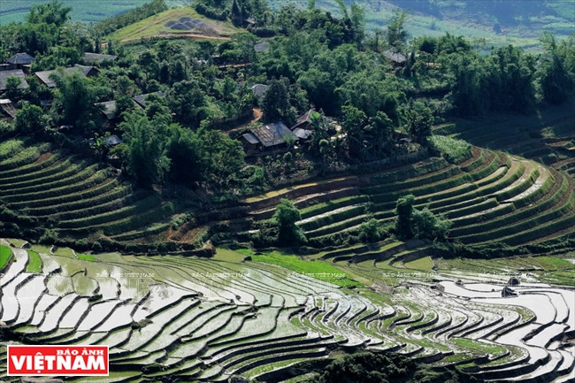 Những thửa ruộng bậc thang ở Y Tý bao quanh các bản làng của đồng bào các dân tộc Mông, Hà Nhì. (Ảnh: Nguyễn Thắng)