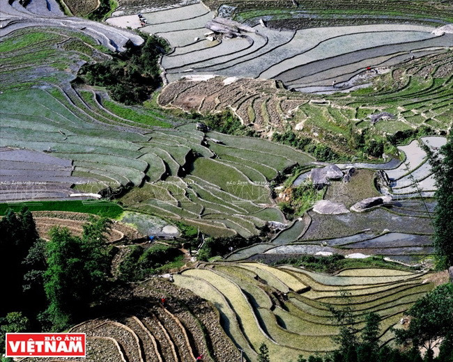 Lấp lánh đường nét ruộng bậc thang ở A Lù. (Ảnh: Nguyễn Thắng)