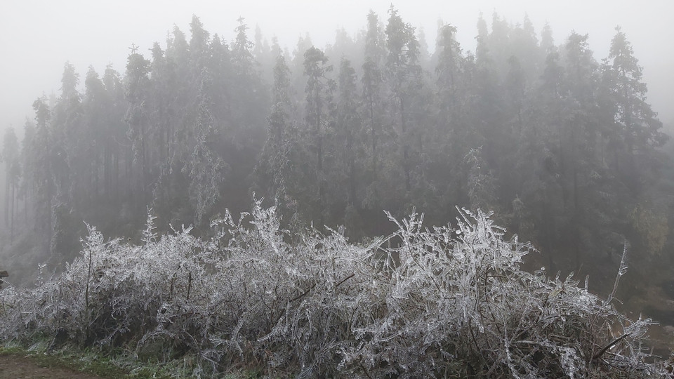 Hiện tượng đóng băng và sương mù dày đặc xuất hiện tại xã Xín Cái, huyện Mèo Vạc, tỉnh Hà Giang. (Ảnh: Nguyễn Chiến/TTXVN)