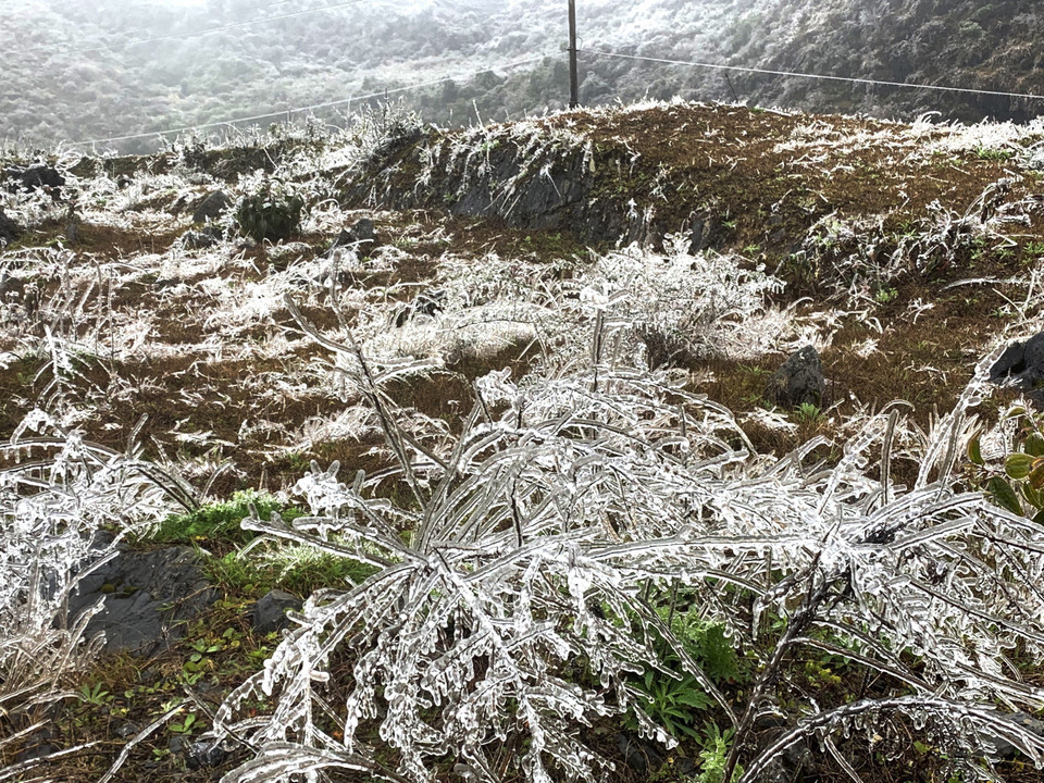 Băng giá phủ kín trên diện rộng ở Cao nguyên đá Đồng Văn. (Ảnh: TTXVN)