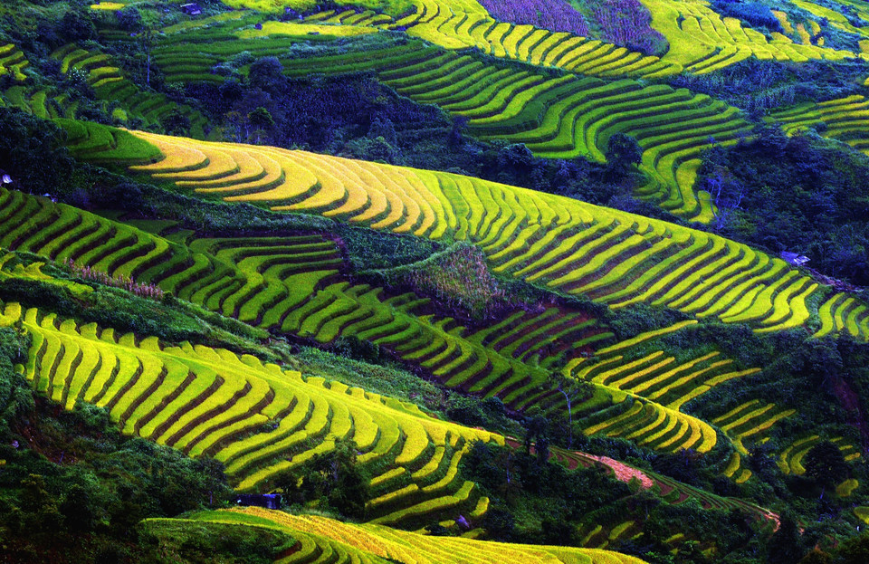 Ruộng bậc thang tại xã Tà Sùa, huyện Bắc Yên (Sơn La). (Ảnh: Quang Quyết/TTXVN)