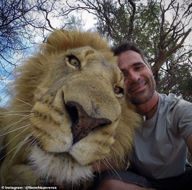 Nhà bảo tồn động vật Kevin Richardson chụp ảnh cùng một con sư tử đực. (Nguồn: Instagram)