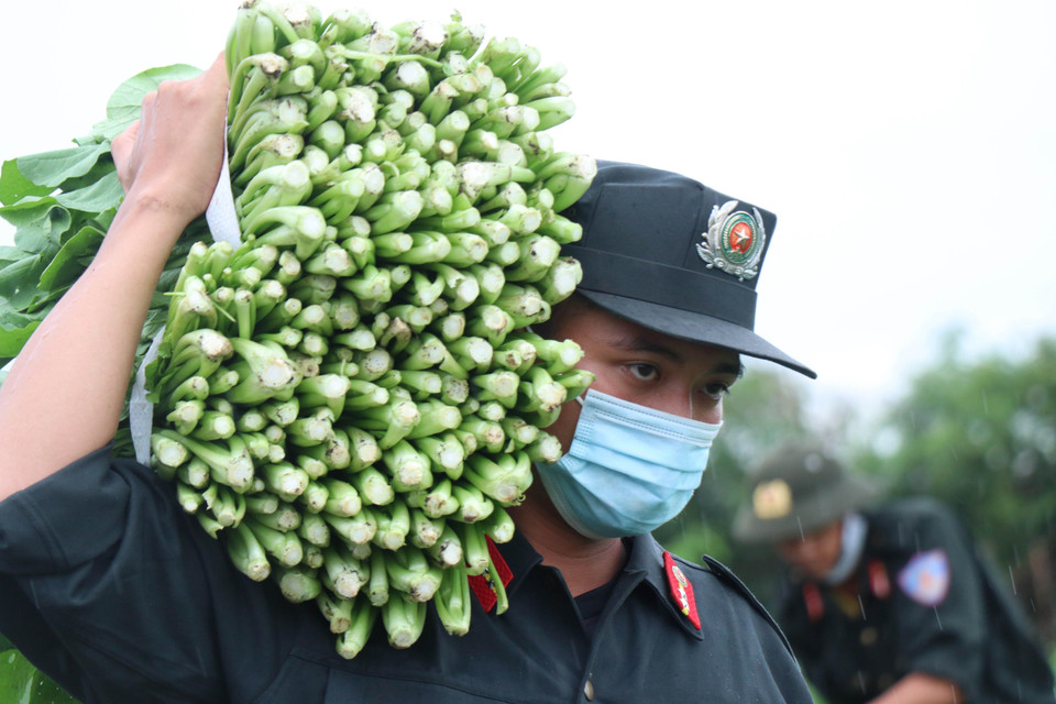 Người dân Đắk Lắk chi viện rau xanh cho vùng tâm dịch Thành phố Hồ Chí Minh. (Ảnh: TTXVN)