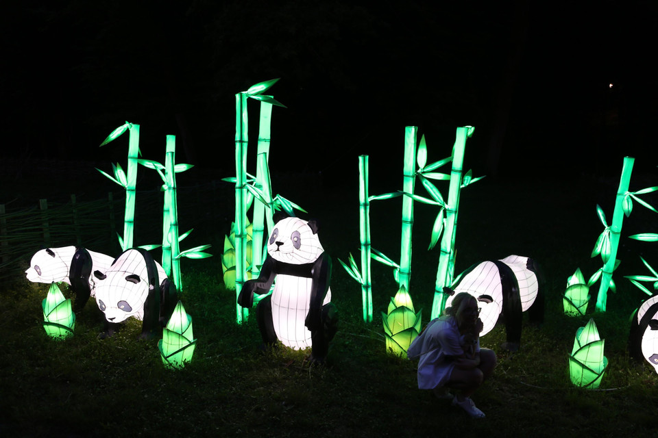 Một mẫu đèn lồng được trưng bày tại triển lãm đèn lồng Tự Cống ở Sibiu, Romania. (Ảnh: THX/TTXVN)