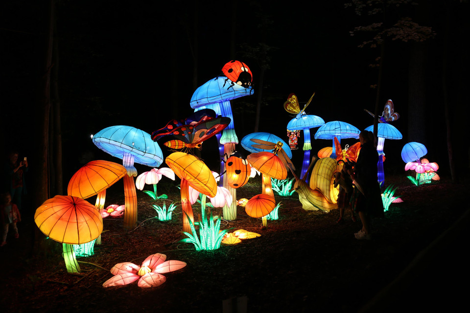 Một mẫu đèn lồng được trưng bày tại triển lãm đèn lồng Tự Cống ở Sibiu, Romania. (Ảnh: THX)