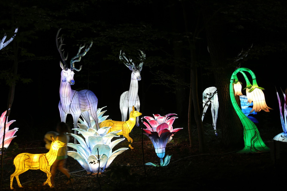 Một mẫu đèn lồng được trưng bày tại triển lãm đèn lồng Tự Cống ở Sibiu, Romania. (Ảnh: THX/TTXVN)