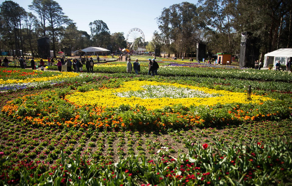 Nhiều loài hoa rực rỡ được xếp thành hình trái tim tại Lễ hội Floriade. (Ảnh: Quang Minh/Vietnam+)