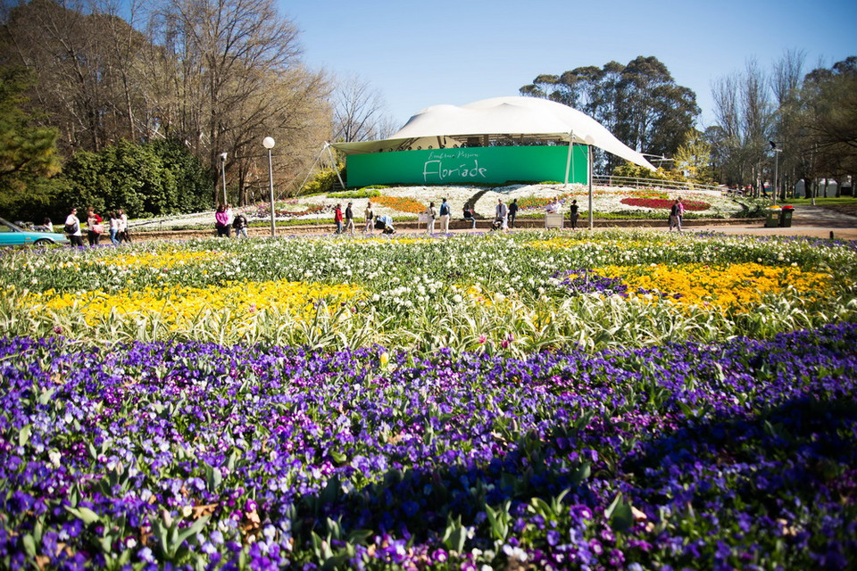 Một tấm thảm hoa tại Lễ hội Floriade. (Ảnh: Quang Minh/Vietnam+)