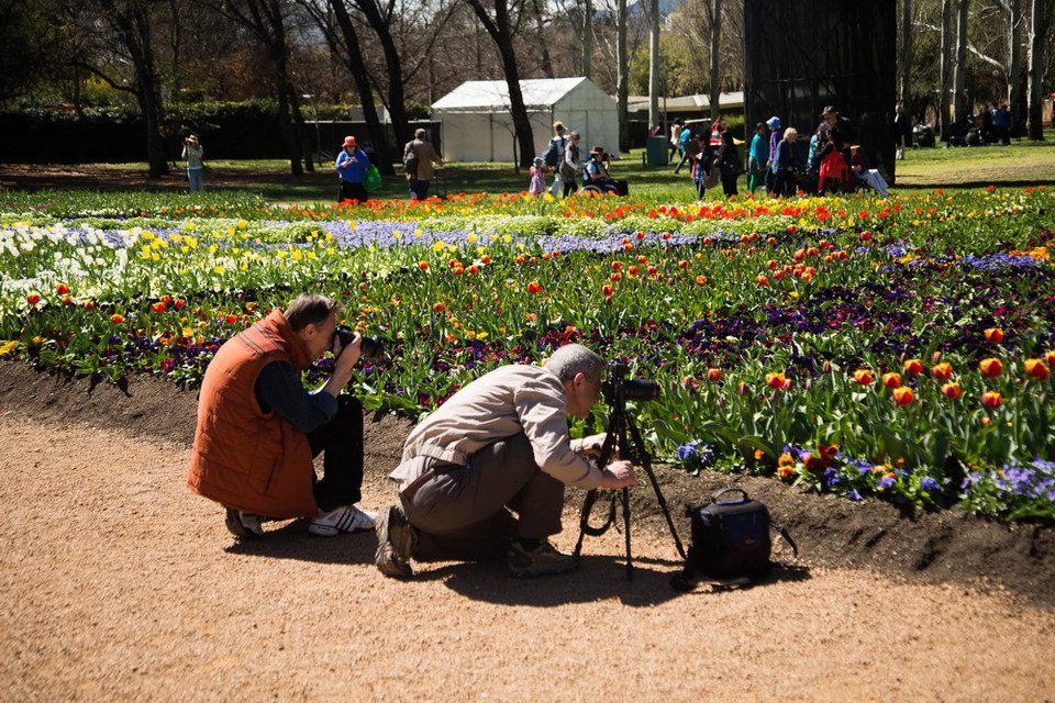Lễ hội Floriade thu hút nhiều nhiếp ảnh gia chuyên nghiệp lẫn nghiệp dư sáng tạo nghệ thuật. (Ảnh: Quang Minh/Vietnam+)