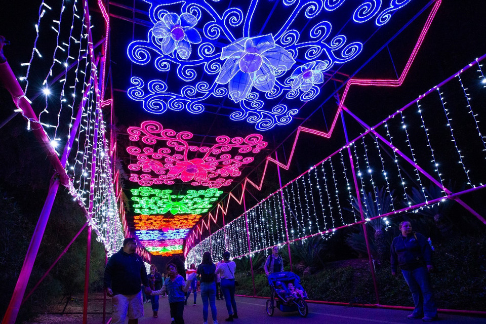 Du khách chiêm ngưỡng các tác phẩm tại Lễ hội đèn lồng nghệ thuật "Khu rừng Ánh trăng" ở Los Angeles (Mỹ )ngày 9/11/2019. (Ảnh: THX/ TTXVN)