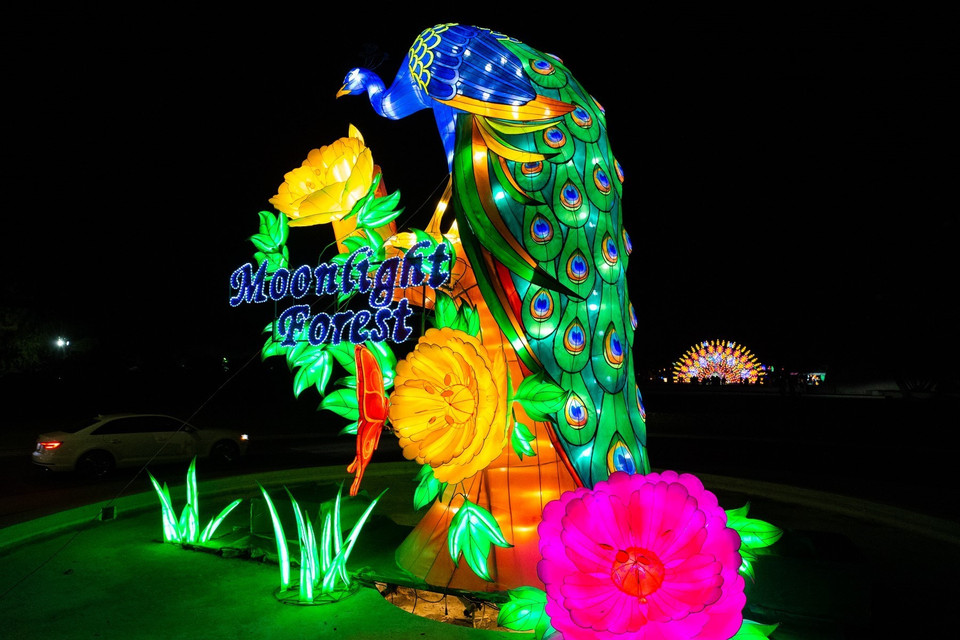 Du khách chiêm ngưỡng các tác phẩm tại Lễ hội đèn lồng nghệ thuật "Khu rừng Ánh trăng" ở Los Angeles (Mỹ )ngày 9/11/2019. (Ảnh: THX/ TTXVN)